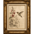 Hummingbird Garden Sketch